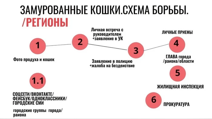 Зоо... методичка - Радикальная зоозащита, Бродячие собаки, Нападение собак, Петиция, Без рейтинга