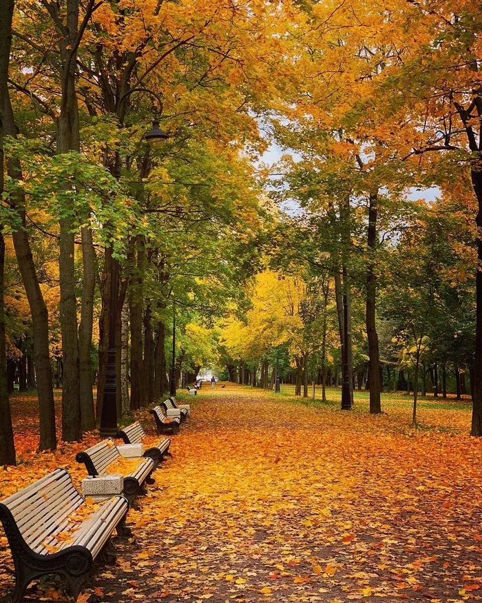 Каменный остров, Санкт-Петербург - Санкт-Петербург, Парк, Осень, Фотография, Природа