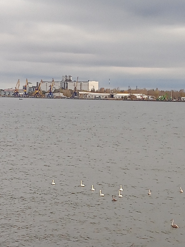 ������ �� ����� 