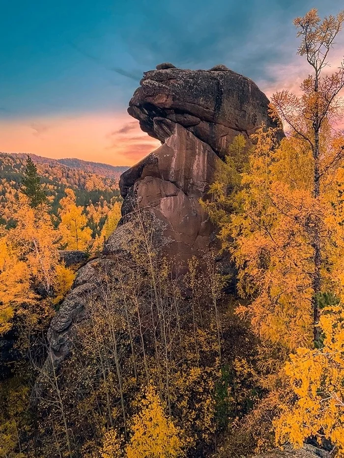 Ну допустим ква! - Красноярские столбы, Жаба, Парейдолия, Дикая природа, Лес, Фотография