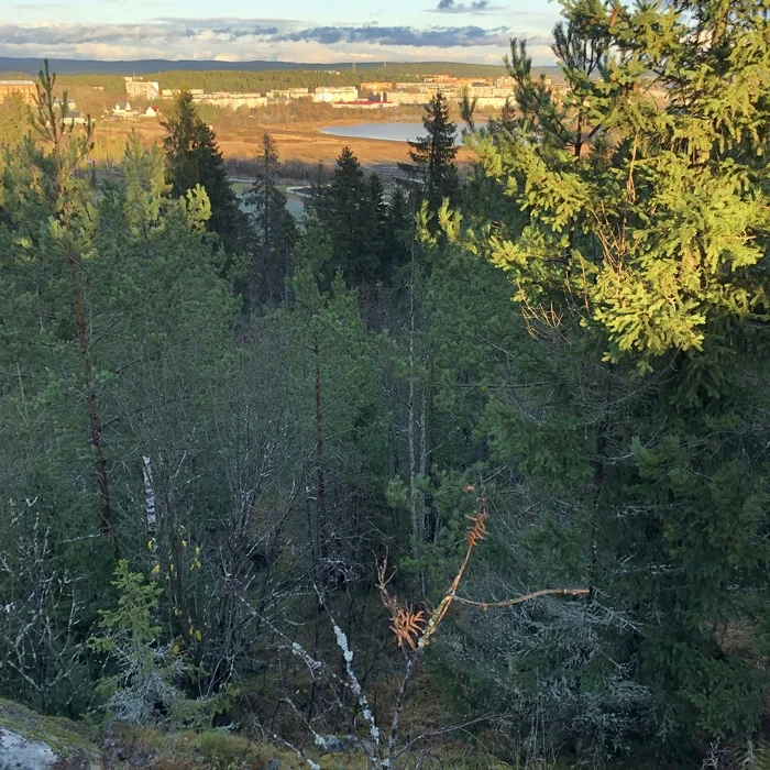 A bit of autumn beauty of Karelia, Sortavala Culture and Recreation Park - My, Карелия, The photo, Mobile photography, Nature, Autumn, Longpost, Landscape