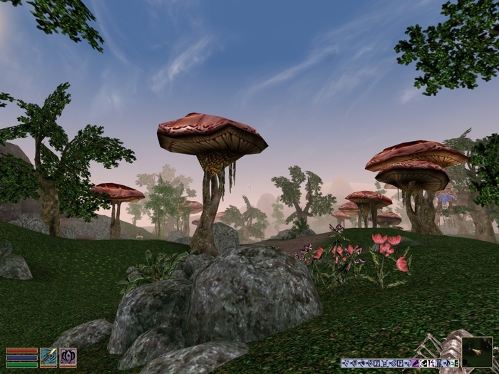   Bethesda, The Elder Scrolls, The Elder Scrolls III: Morrowind, RPG, , , , 