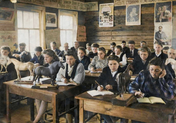 Подборка простых и потрясающих фотографий эпохи СССР. 20 раскрашенных фотографий, Часть XIII Старое фото, Историческое фото, Фотография, Колоризация, СССР, Сделано в СССР, Детство в СССР, 60-е, 70-е, 80-е, 50-е, Длиннопост