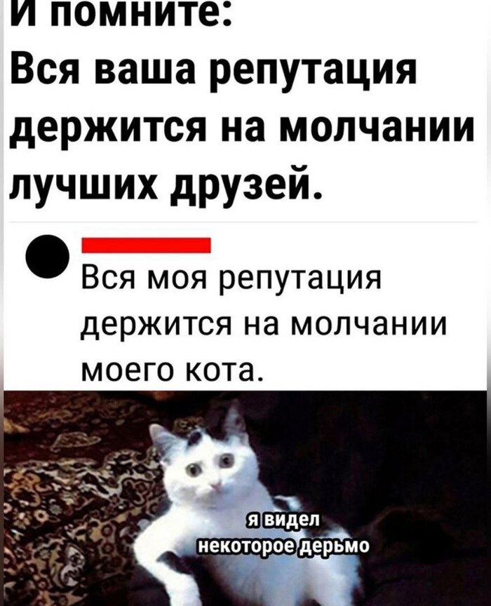  -    , , , , , , , 