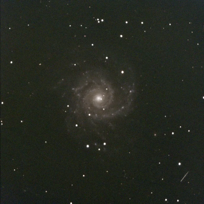 Галактика NGC 628 (M74) показываю прямо сейчас в любительский телескоп без фильтров и обработки - Моё, Астрономия, Космос, Звездное небо, Астрофото, Телескоп, Галактика, Звезды