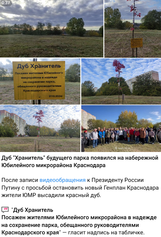 They broke our Guardian! - My, Krasnodar, Temple construction, Negative, Temple, Vandalism, Tree, Green Zone, The park, Video, Vertical video, Longpost, No rating