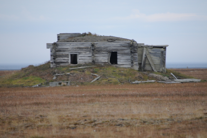 ������� ����� ���