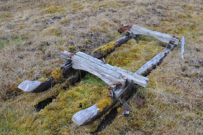 �� ����� ���� ����� ������ ����...