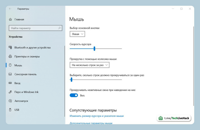          Windows? , , , Windows, Windows 10, Microsoft, , , Telegram ()