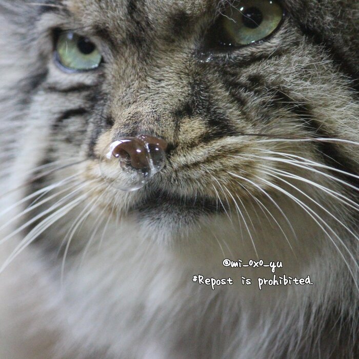 Стало холодать... Платочка не найдётся?