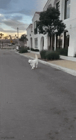   , , , 