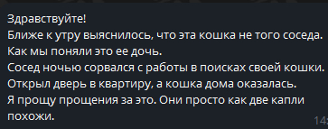 Как мы забрали чью-то недобрую кошку из подъезда. Фейл года - Кот, В добрые руки, Бездомные животные, Спасение животных, Ветеринария, Лига Добра, Передержка, Приют, Потеряшка, Волонтерство, Кошатники, Доброта, Благотворительность, Спасение, Видео, Вертикальное видео, Длиннопост