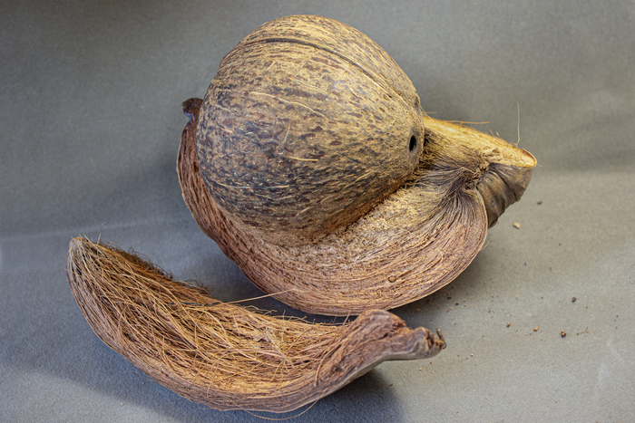     .    :   ,    ()     ().     .