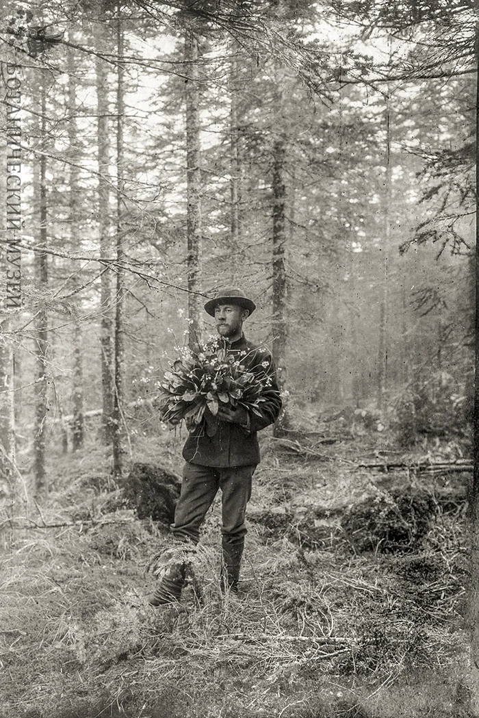 Иона Кузнецов (1881–1945) - исследователь, путешественник, систематик - Моё, Ботаника, История России, Выдающиеся личности, Ботанический музей, Российская империя, Длиннопост