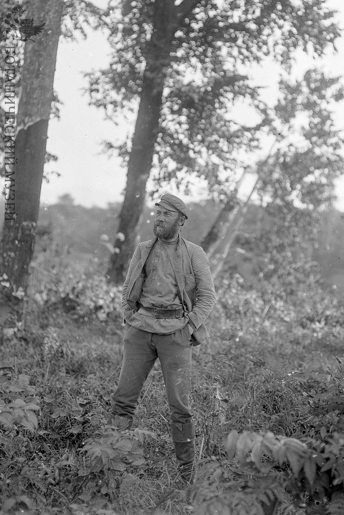 И.В. Кузнецов. Болонь-Оджальская экспедиция Переселенческого управления, 1910 г. Хабаровский край, левобережье Амура. Коллекция негативов и фотографий Ботанического музея БИН РАН.