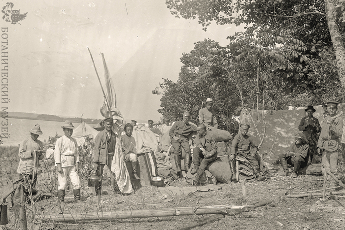 Табор экспедиции на берегу протоки реки Болонь. Болонь-Оджальская экспедиция Переселенческого управления, 1910 г. Хабаровский край, левобережье Амура. Фото И.В. Кузнецова. Коллекция негативов и фотографий Ботанического музея БИН РАН.