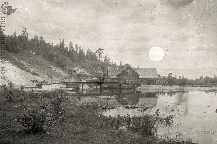 Экспедиция Переселенческого управления в Енисейскую губернию (Красноярский край), 1911 г. Фото И.В. Кузнецова. Коллекция негативов и фотографий Ботанического музея БИН РАН.