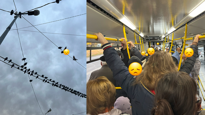 Грустные все и даже птички