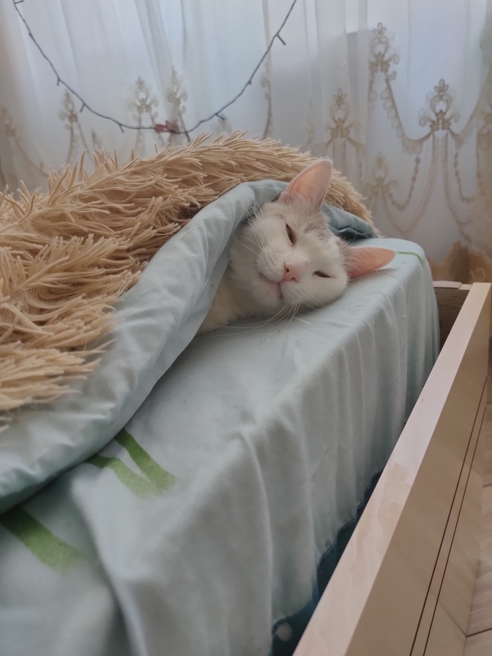     , ,  , , 