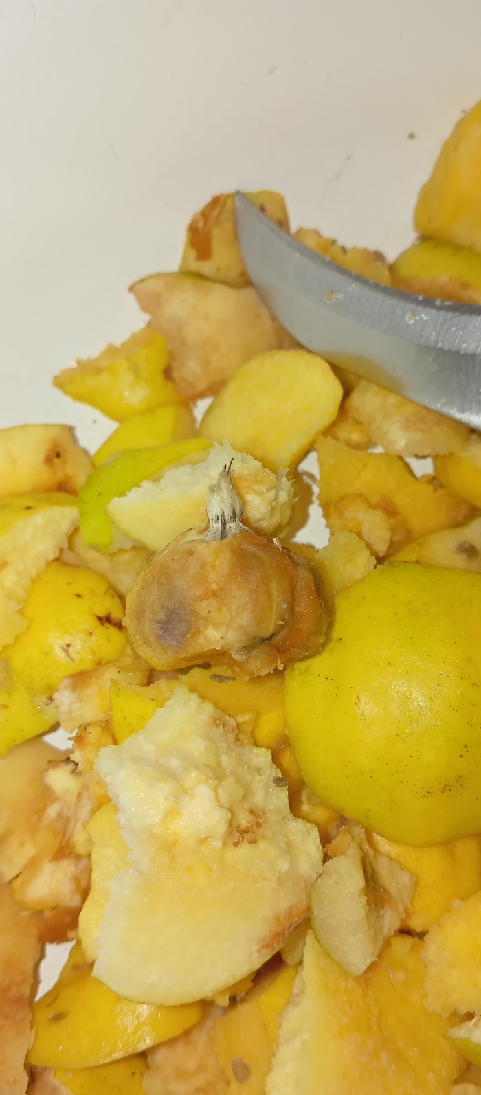 Сердцевинка