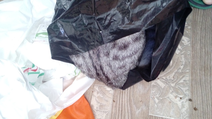 ������� ����