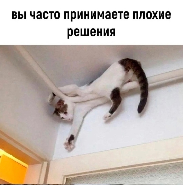  ,      , , , ,  , 
