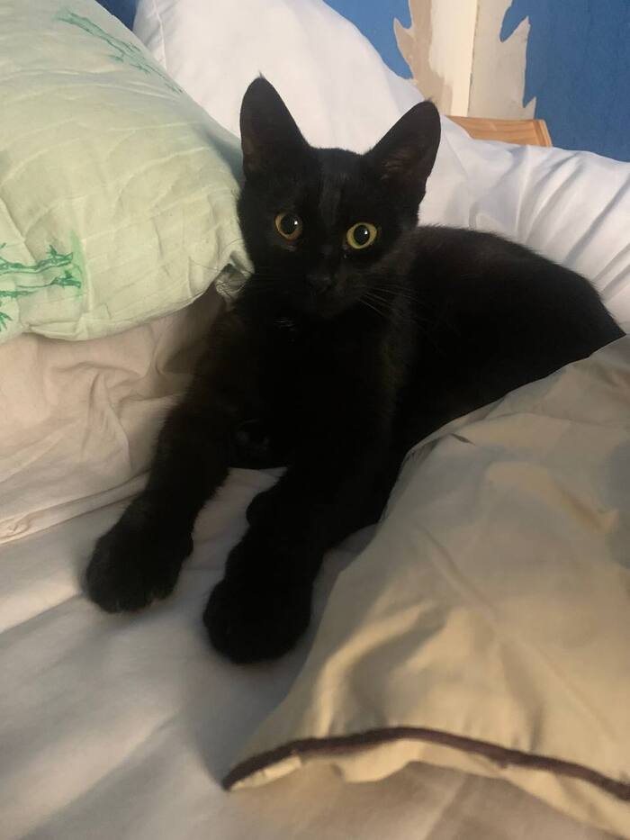 Первый день после встречи