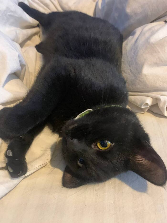 Игрулька, но не хулиганка