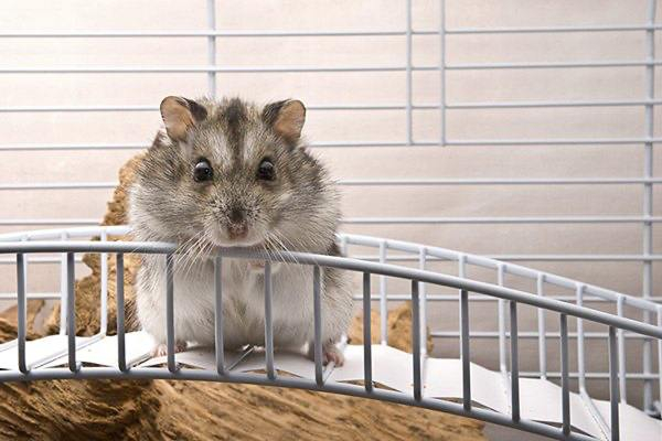 А говорят отскок то на рынке фальшивый