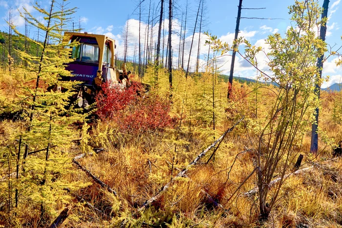 And again about autumn - My, Landscape, The photo, The sun, Autumn, Kolyma