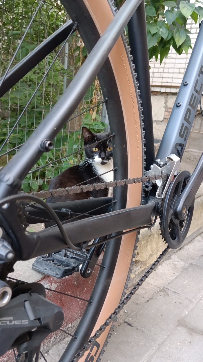 ���� ��������)