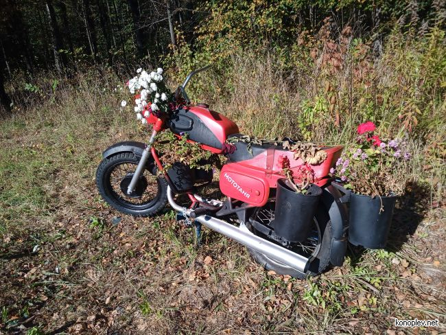 Grove of Memory Eternal Season, 2024 - My, Motorcyclists, Motorcycle season, Religion, Longpost