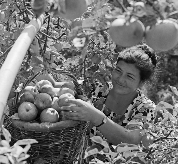   " "  ,  , 1968 .    , , ,   , ,   ,   , , 60-, Telegram ()