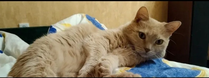  , .   ,  ,  ,  , , , 