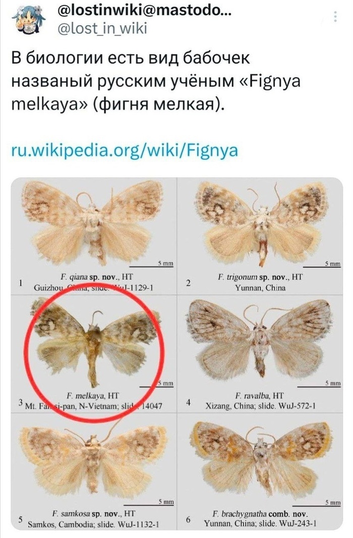   , ,  , , , , X (Twitter)