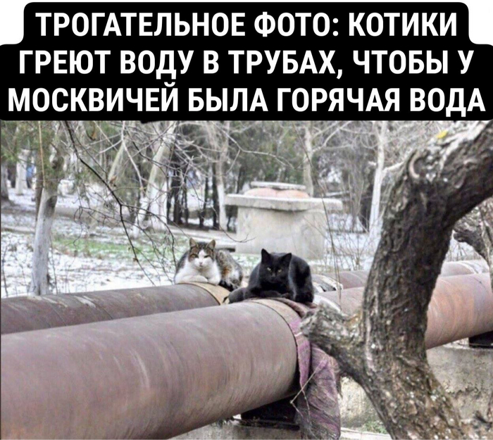 А и Б лежали на трубе