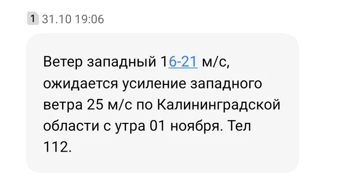 Прощаясь с красками осени - Моё, Погода, Погодное явление, Осень, Калининград, Прогулка по городу, Города России, Парк, Амалиенау, Прогулка, Видео, Вертикальное видео