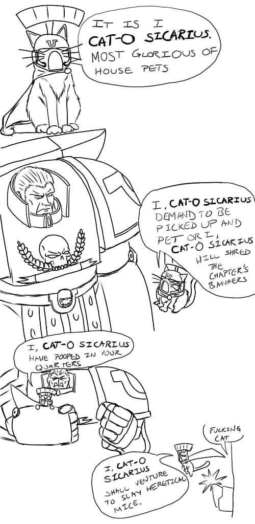 Котан Сикарий