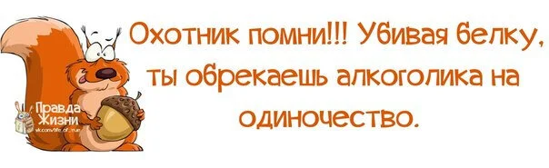 Пятничная белка - Картинка с текстом, Юмор, Белка, Алкоголики, Черный юмор, Пятница, Алкоюмор, Одиночество