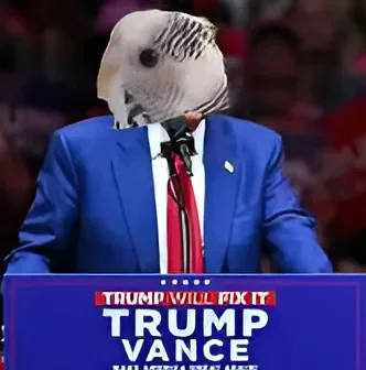 New candidate... - My, Memes, Politics, US elections, Budgies, US presidents, The president