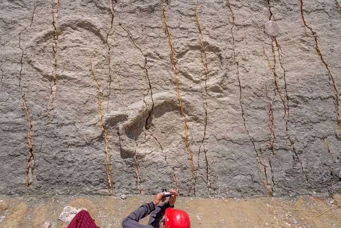 Vertical wall with dinosaur footprints in Bolivia - Dinosaurs, Bolivia