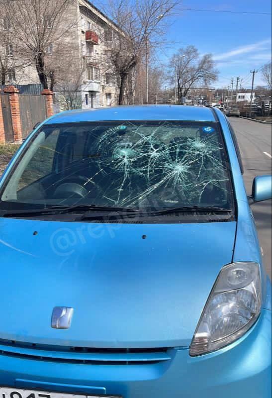 Animal rights activist throws stones at car with mother and child inside - Radical animal protection, Stray dogs, Osvv, Петиция, Dog attack, Video, Negative, Longpost