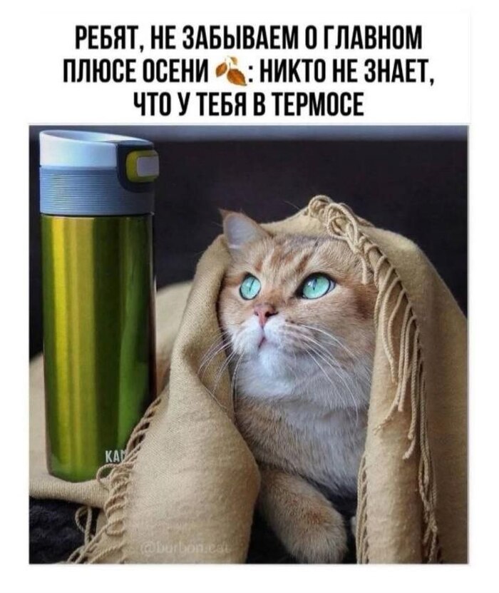 Лайфхак осени