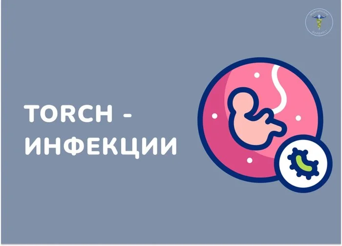 TORCH-инфекции - Здоровье, Медицина, Беременность, Гинекология, Неонатолог, Болезнь