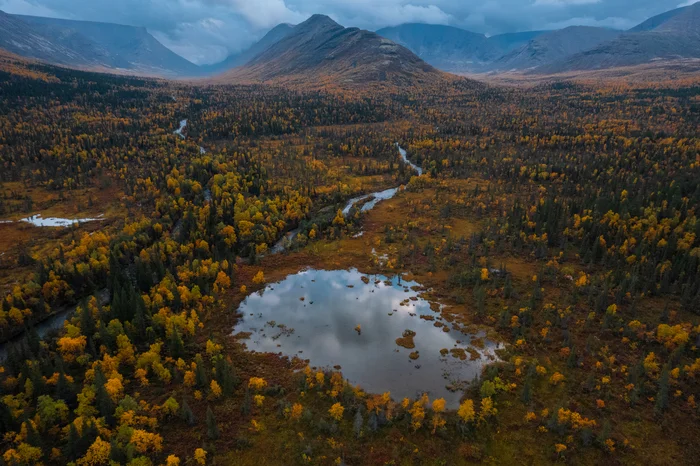 Осень в Хибинах, Кольский полуостров - Моё, Природа России, Природа, Путешествия, Путешествие по России, Север, Хибины, Кольский полуостров, Осень, Пейзаж