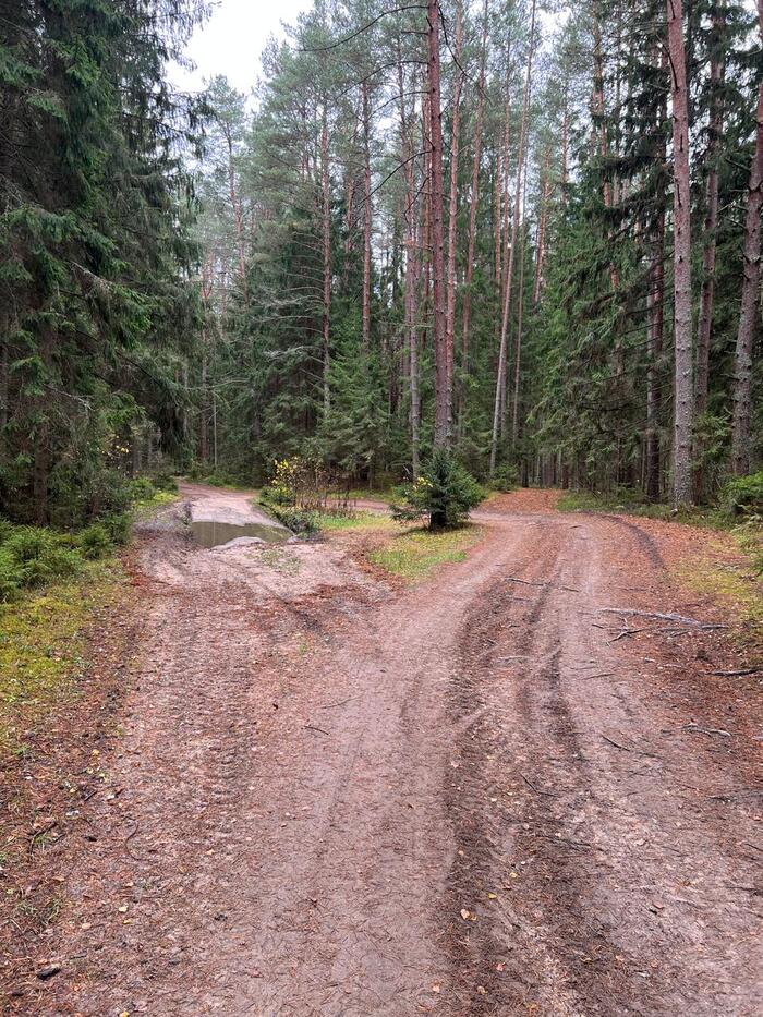 Лужи были, но мало и поездке не мешали
