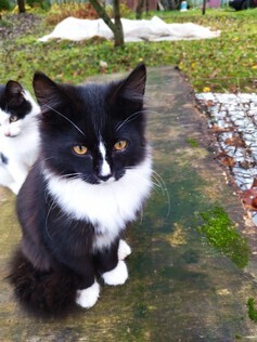 �������