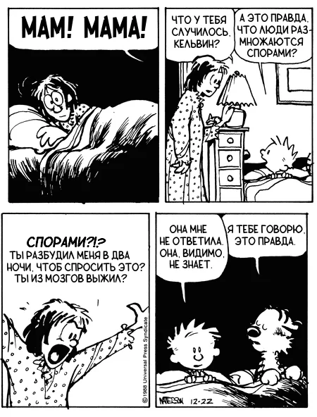 Calvin and Hobbes. The Big Question - Calvin and Hobbs, Translated by myself, Comics