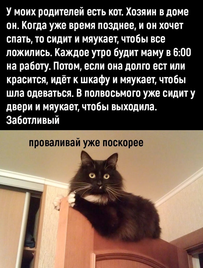 Проваливай уже поскорее