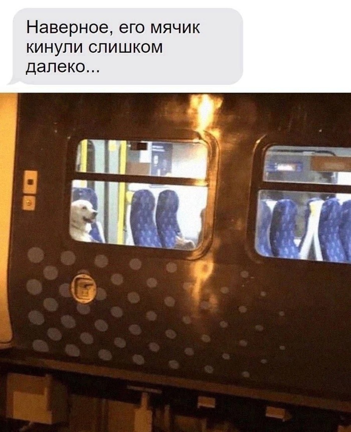        ,   , , ,  , 